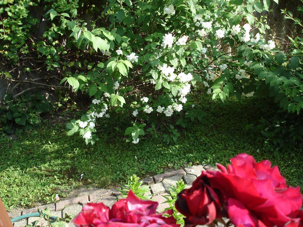 Liza Apartman Gyula Room photo